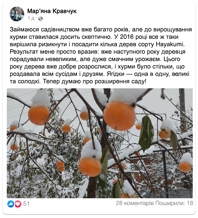 Заголовок